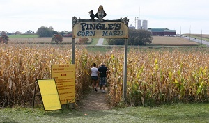 Pingles farm, corn maze, pumpkin patch and farm market