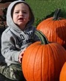 Harvest Adventures Pumpkin Patch and Corn Maze in Bremen, Ohio