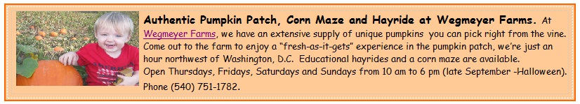 Wegmeyers pumpkin patch, corn maze and hayrides Virginia washington DC