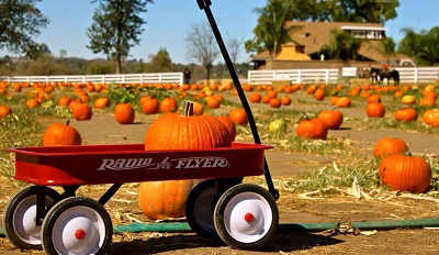 Mountain Valley Ranch Pumpkin Patch -