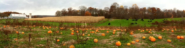 Pierson Bicentinial Farm And Greenhouse -