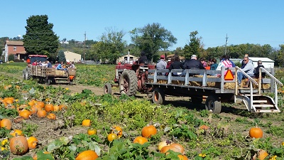 Brown's Family Farm Market 