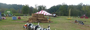 Huckleberry Holler activities