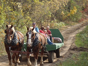 Robinette Hayrides, michigan